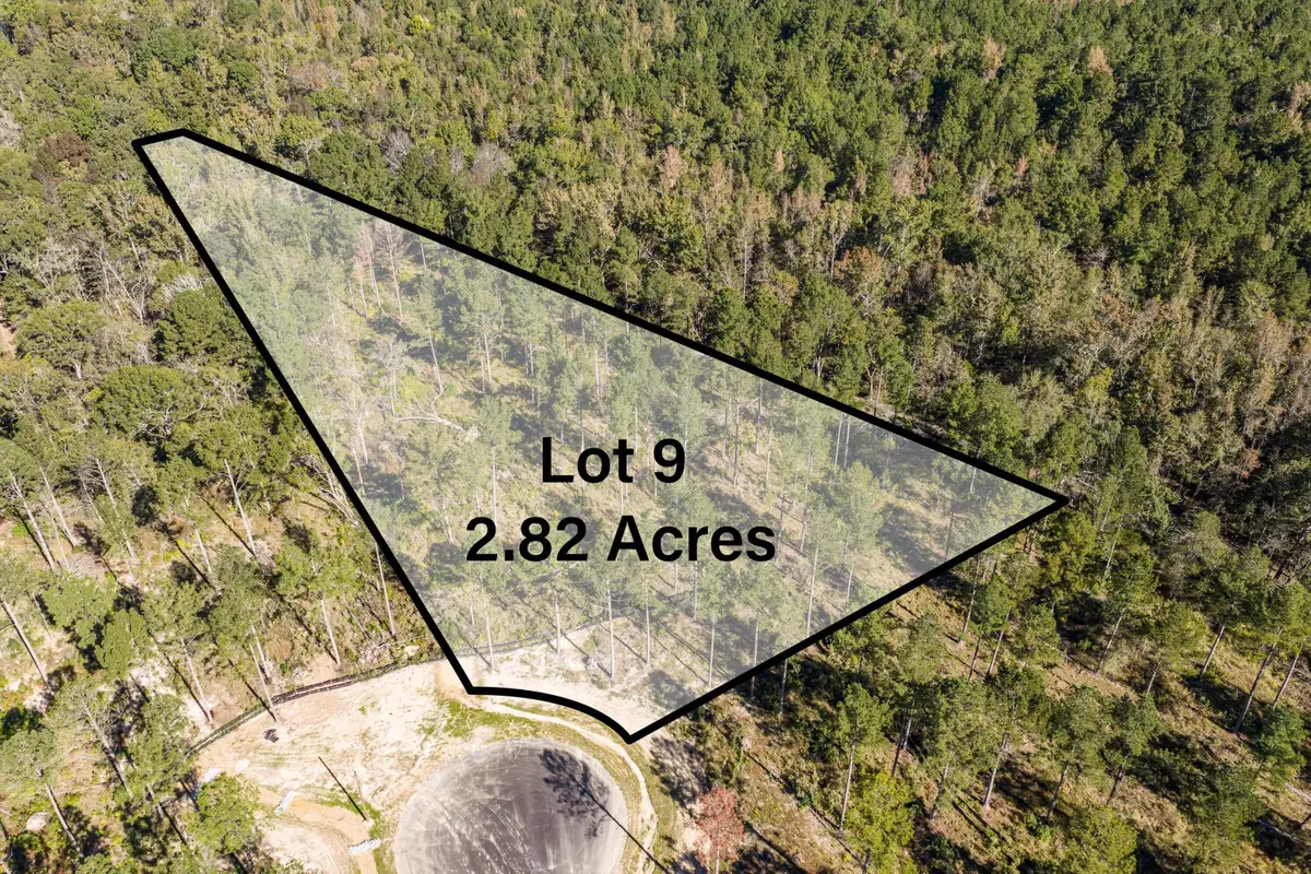 175 Beagle Chase Drive, Appling, GA 30802 - #1