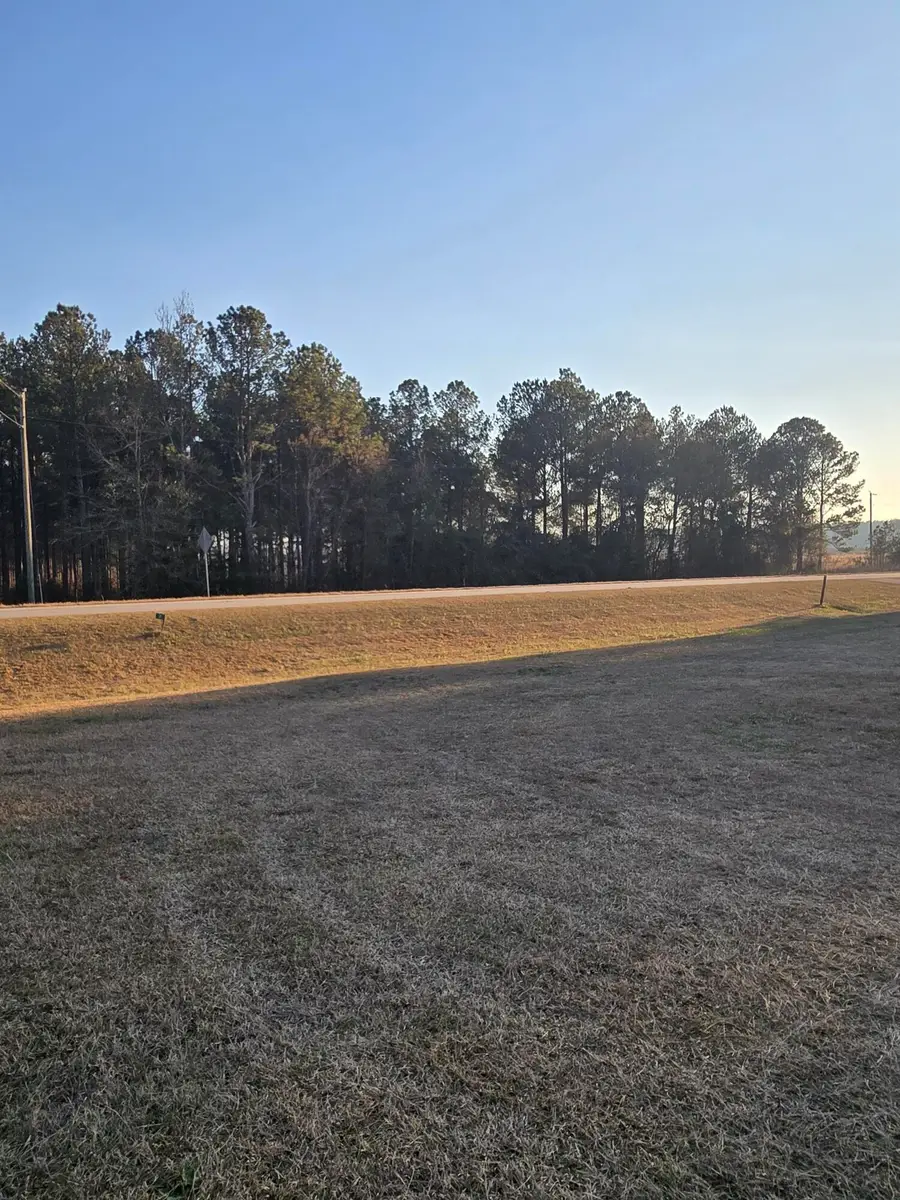 7051 Danburg Road, Tignall, GA 30668 - #3
