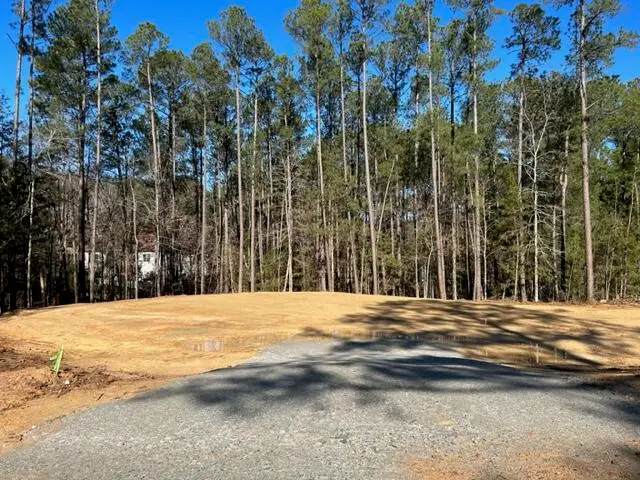 118 Tara Drive, McCormick, SC 29835 - #3