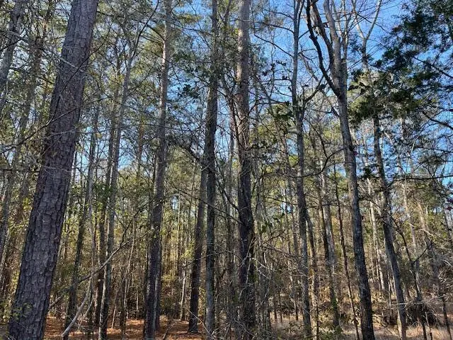 3015 Timber Woods Drive, Appling, GA 30802 - #2
