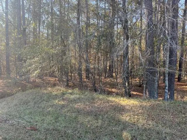 3015 Timber Woods Drive, Appling, GA 30802 - #3