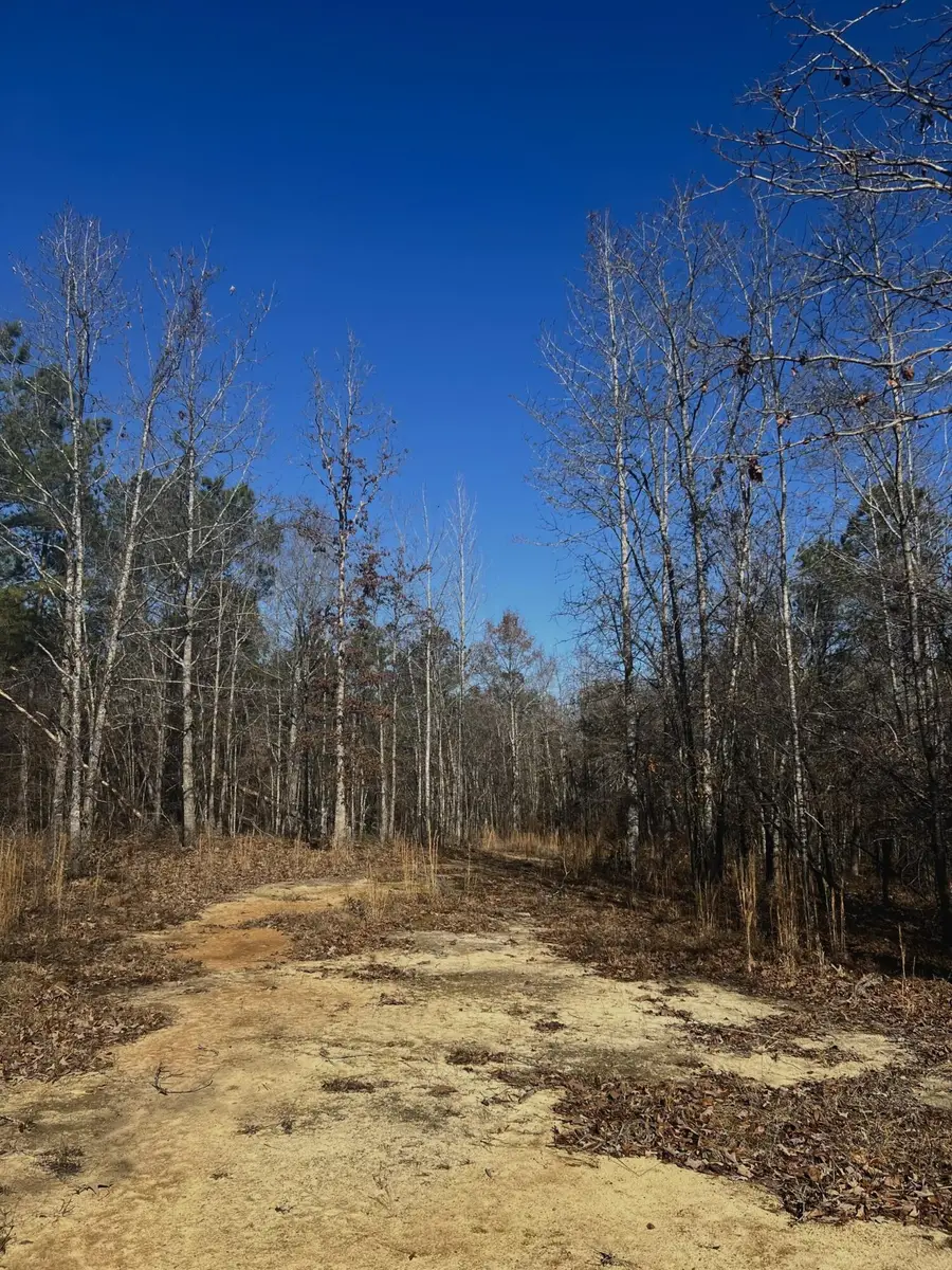 6975 Highway 80, Keysville, GA 30816 - #3