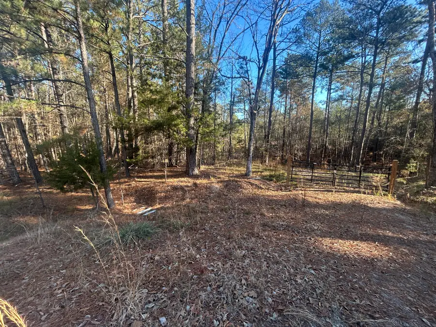 9.01 Hwy 220 E, Lincolnton, GA 30817 - #3