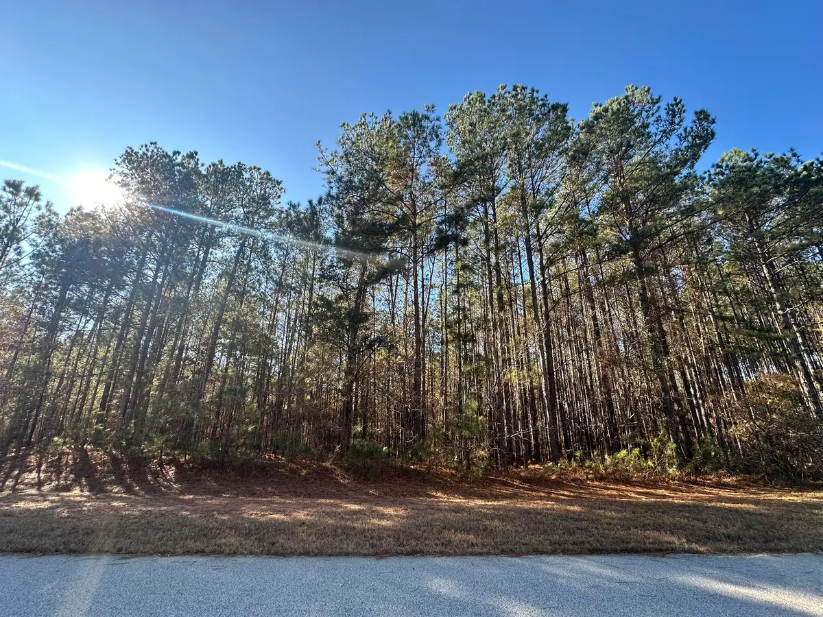 1252 Rogers Road, Tignall, GA 30668 - #1
