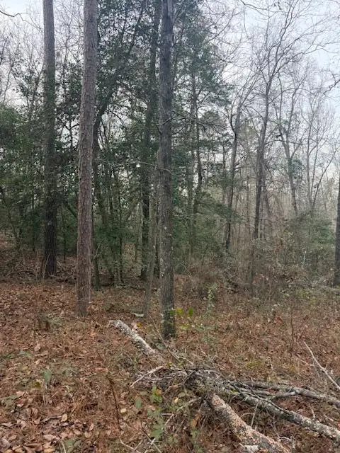 2005 Mcdade Farm Road, Hephzibah, GA 30815