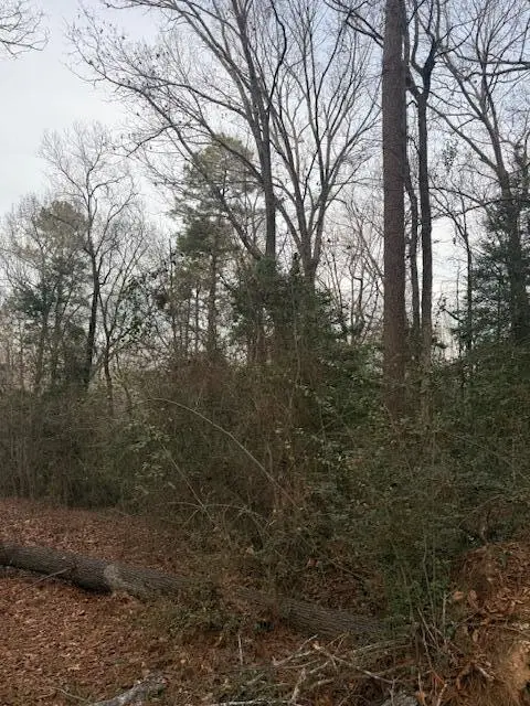 2005 Mcdade Farm Road, Hephzibah, GA 30815 - #2