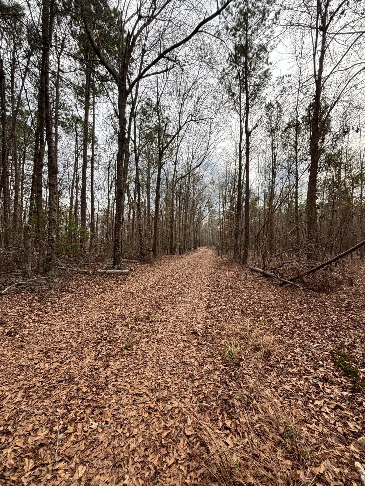745 Wright Allen Road, Blythe, GA 30805 - #1