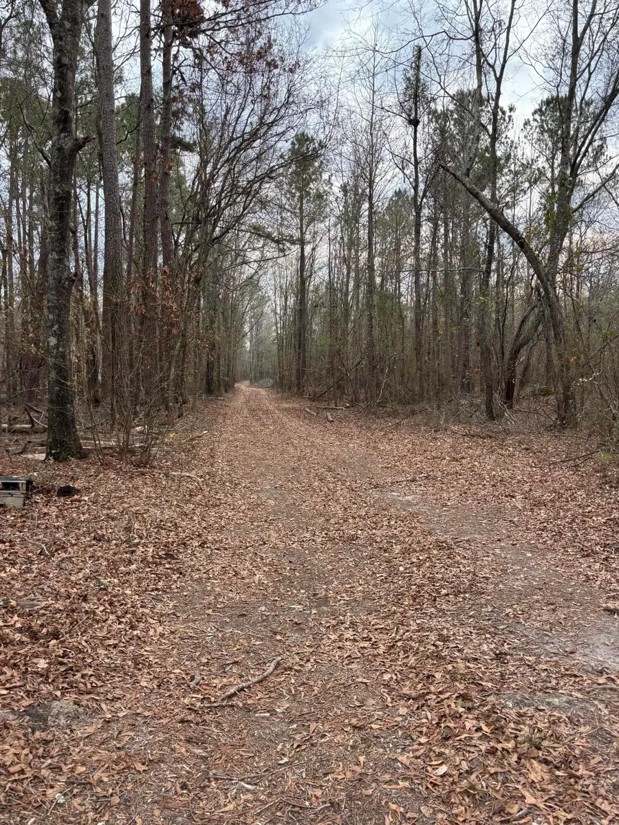 745 Wright Allen Road, Blythe, GA 30805 - #3