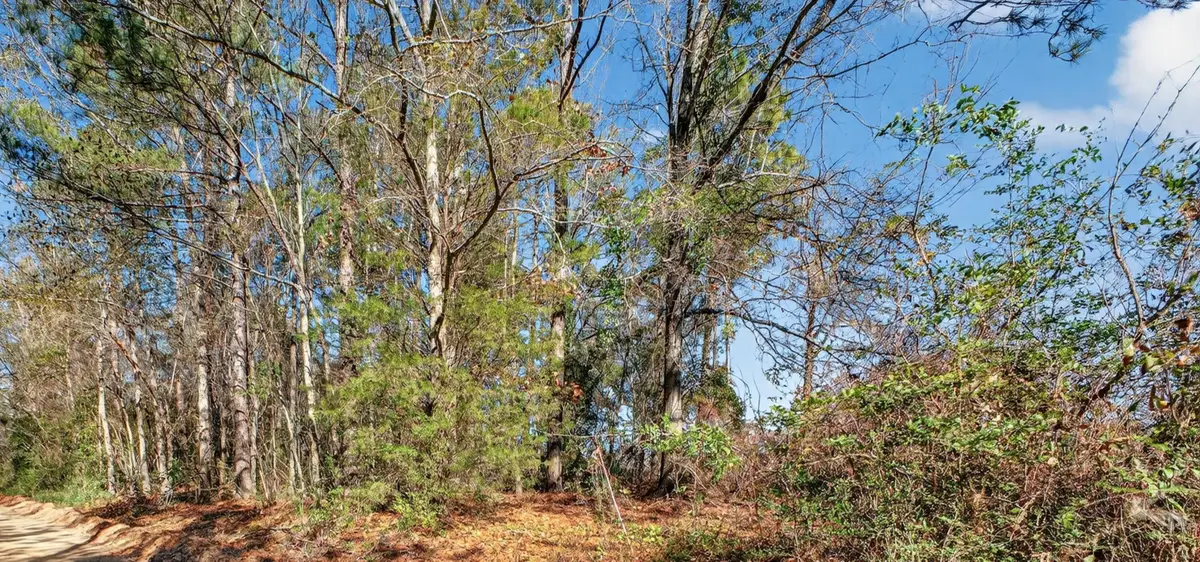 469 Harlem Street, New Ellenton, SC 29809 - #1