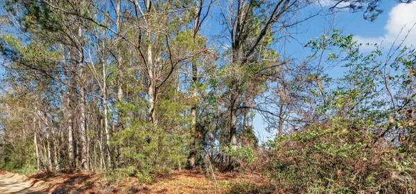 469 Harlem Street, New Ellenton, SC 29809