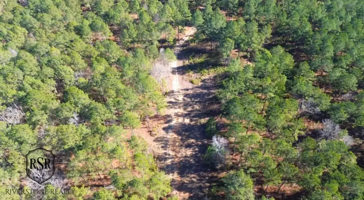 0 L R White Road, Plum Branch, SC 29845 - #1