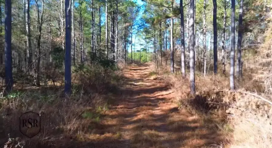 0 L R White Road, Plum Branch, SC 29845 - #2