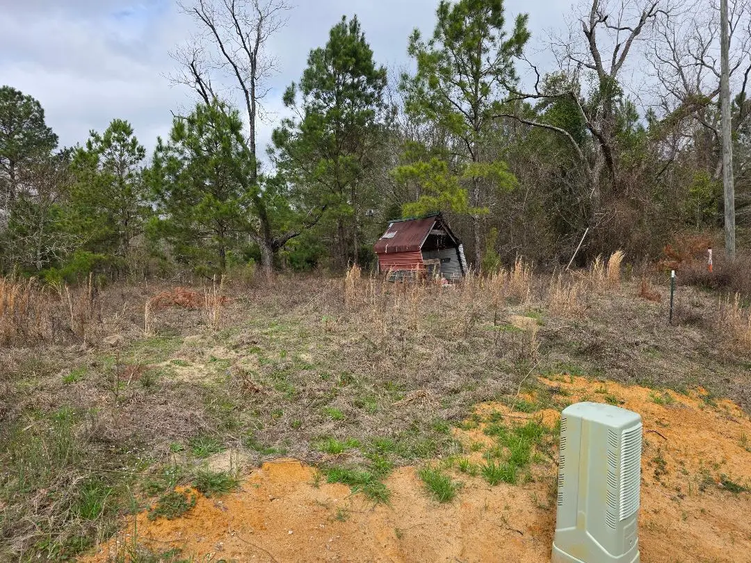 1880 Alexander- Munnerlyn Road, Sardis, GA 30456 - #1