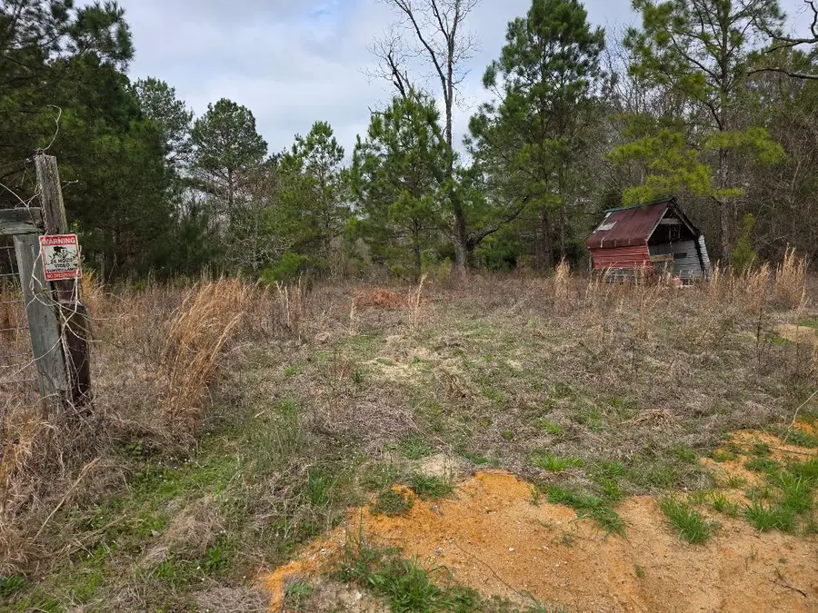 1880 Alexander- Munnerlyn Road, Sardis, GA 30456 - #2