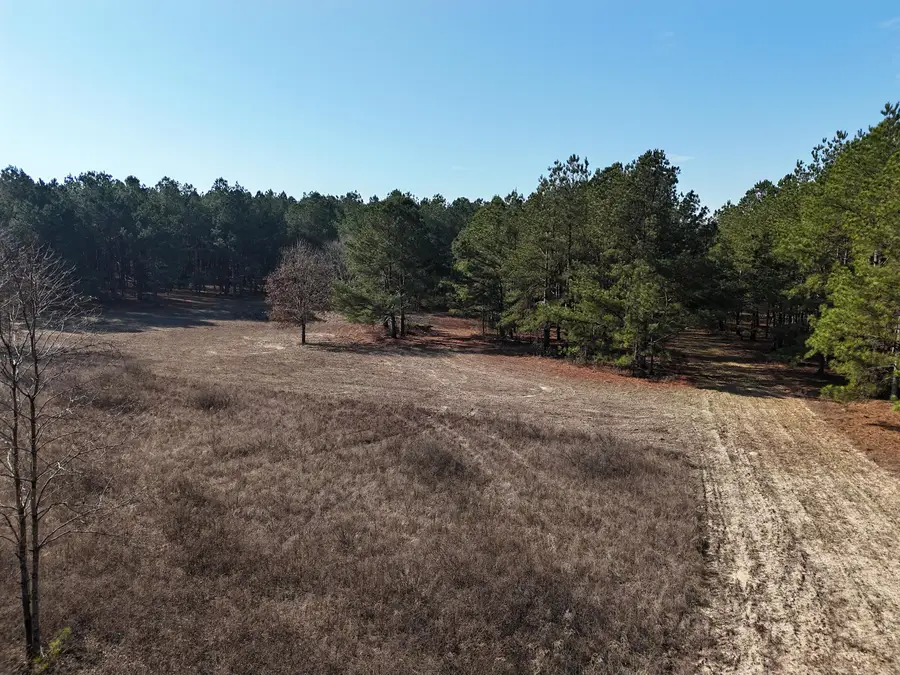 0 Ponderosa Road, Waynesboro, GA 30830 - #2
