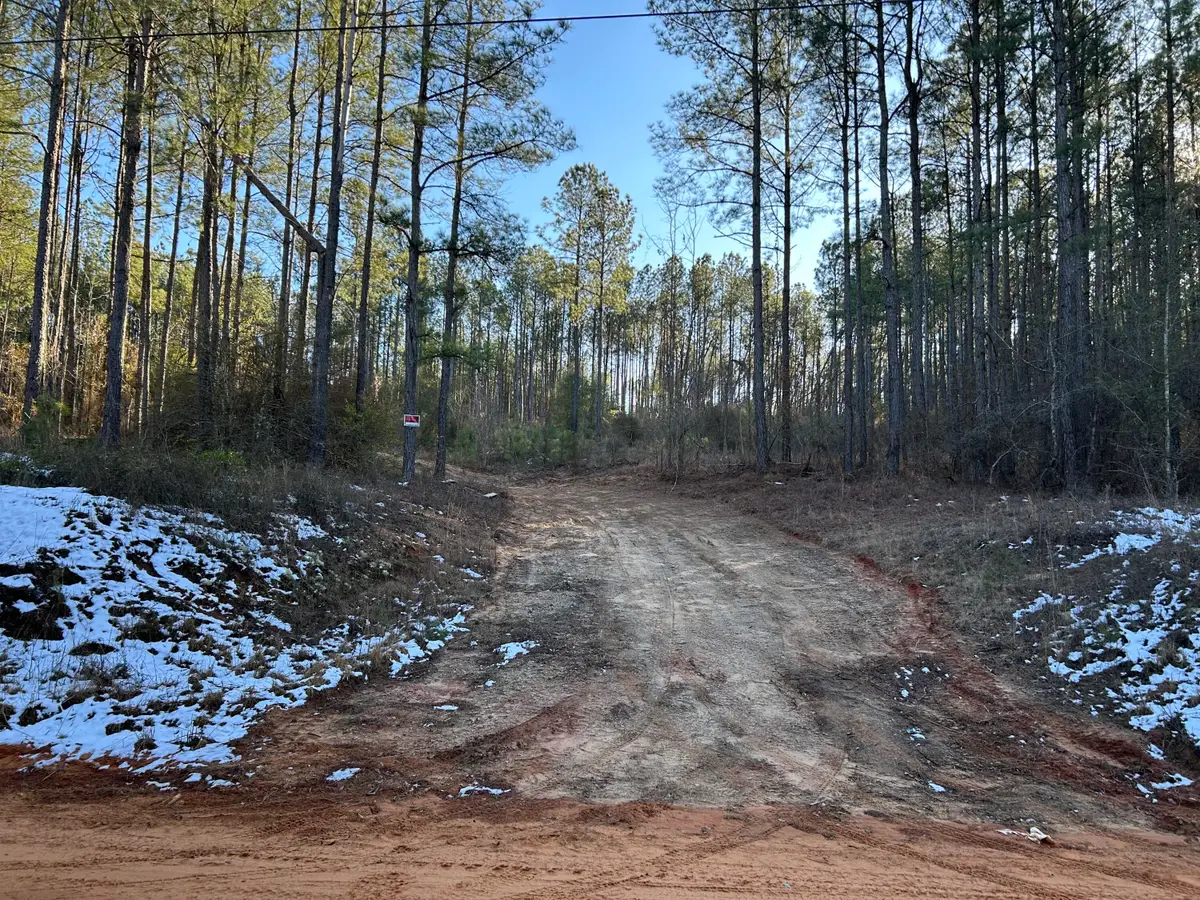 3229 Keysville-boggs Academy Road, Keysville, GA 30816 - #1