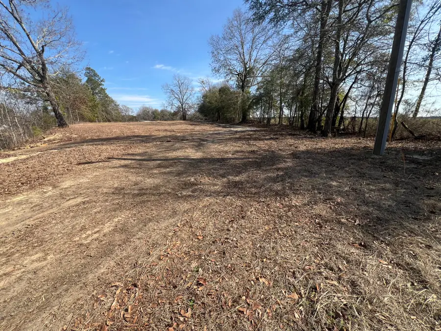 4539 Lewis Church Road, Millen, GA 30442 - #3