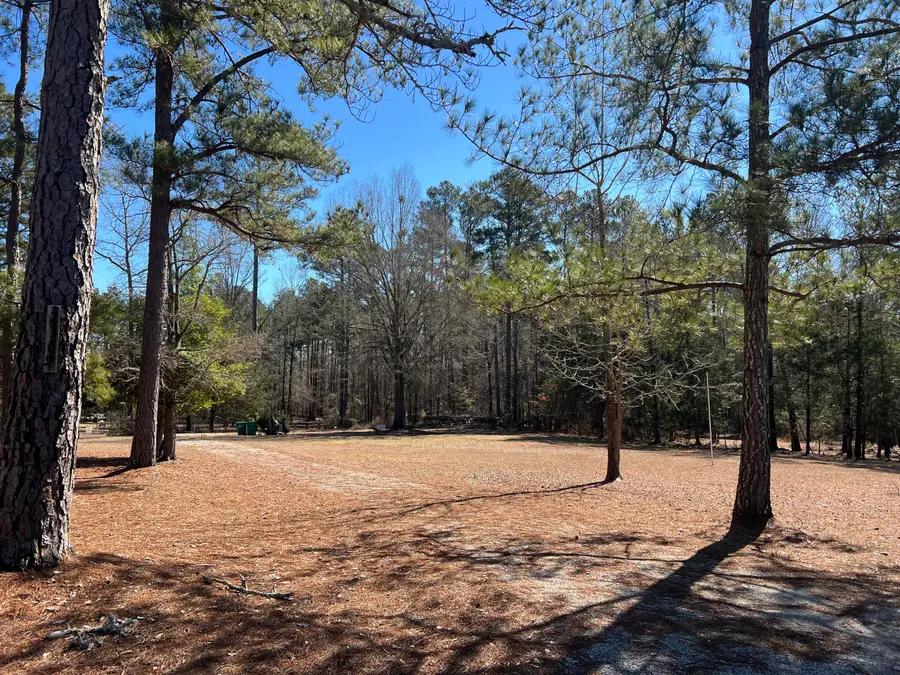 2369 Pine Ridge Road, Appling, GA 30802 - #3