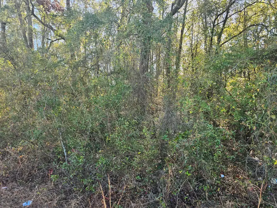 01 River Road, Waynesboro, GA 30830 - #3