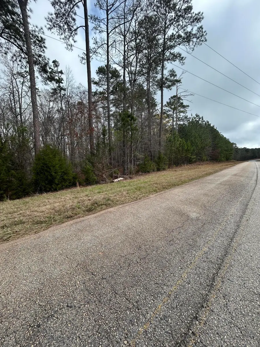 5.47ac Nathania Farm Road, Lincolnton, GA 30817 - #3