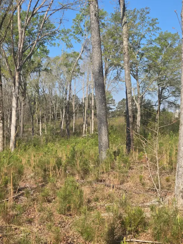 0 Mercier Road, Lincolnton, GA 30817