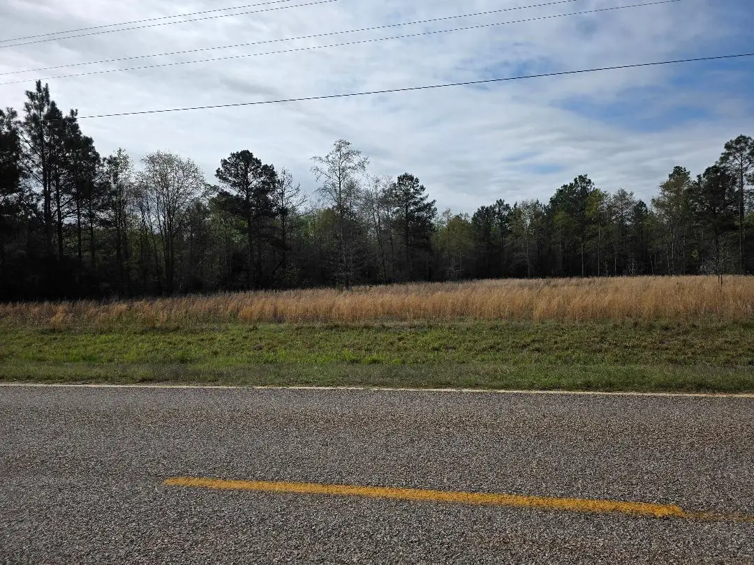 0 E Four Points Road, Greens Cut, GA 30815 - #1