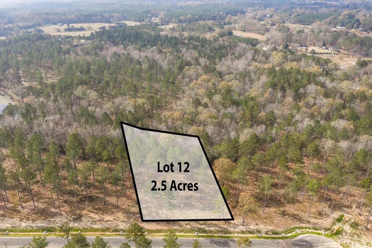 158 Beagle Chase Drive, Appling, GA 30802 - #1