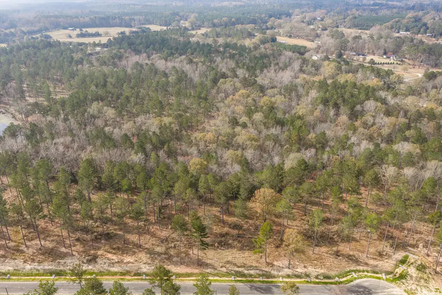 158 Beagle Chase Drive, Appling, GA 30802 - #3