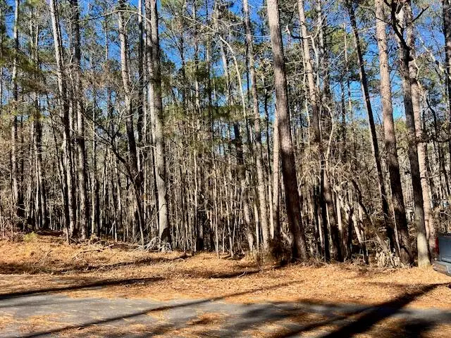 0 Oconee Lane, McCormick, SC 29835 - #1