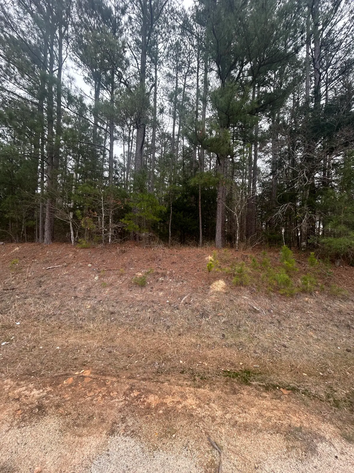 16.9 Ac Hwy 220 E, Lincolnton, GA 30817 - #1