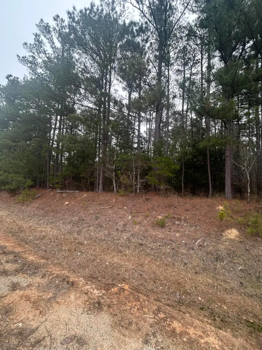 16.9 Ac Hwy 220 E, Lincolnton, GA 30817 - #3