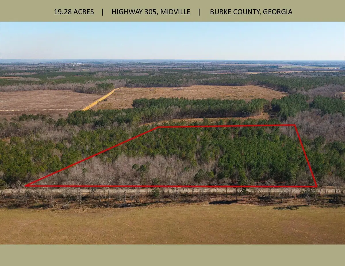 19.3 Acres Ga-305, Midville, GA 30441 - #1
