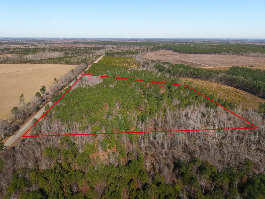 19.3 Acres Ga-305, Midville, GA 30441 - #2