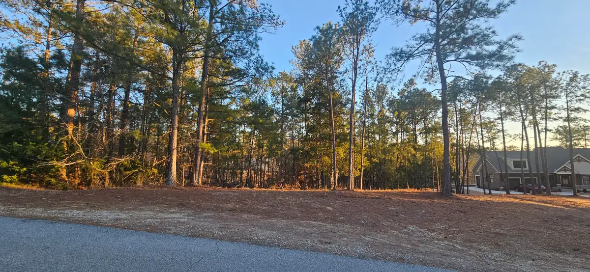 0 Amelia, McCormick, SC 29835 - #1