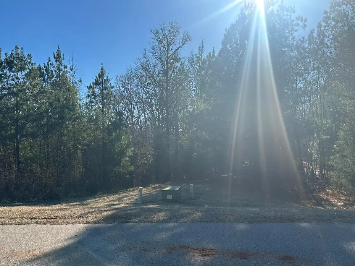 781 William Avenue, Appling, GA 30802 - #1