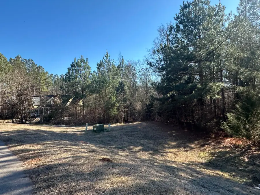 781 William Avenue, Appling, GA 30802 - #2