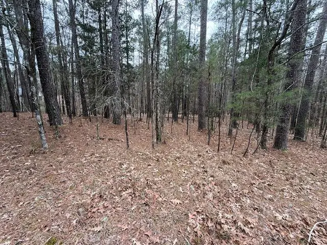 L 5 B 7 Windy Circle, McCormick, SC 29835 - #1