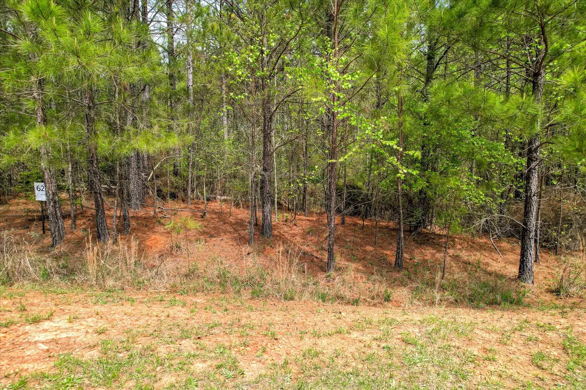 1048 Longleaf Way, Lincolnton, GA 30817 - #1