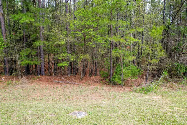 1078 Clinton-williams Road, Lincolnton, GA 30817