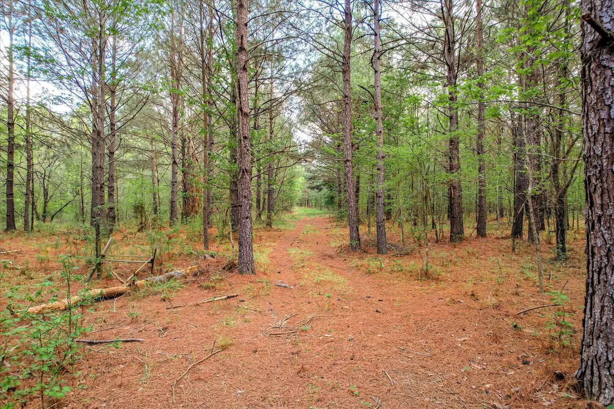 6995 Cobbham Road, Appling, GA 30802 - #1