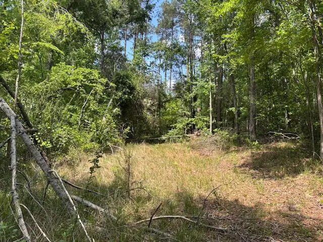 2062 Glenn, Grovetown, GA 30813 - #2