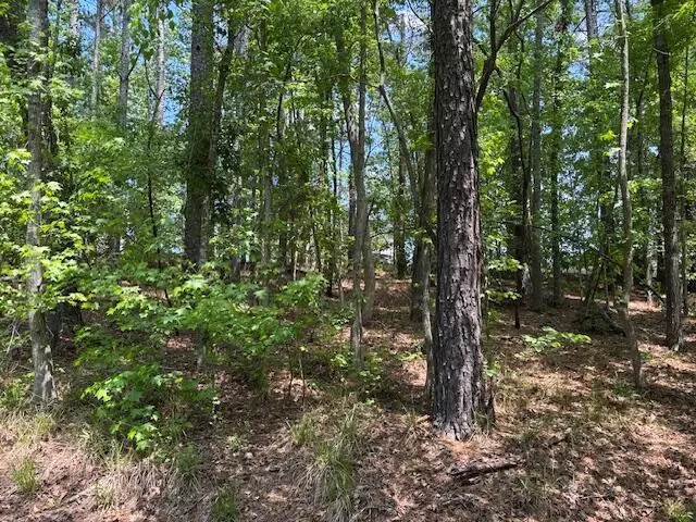 2062 Glenn, Grovetown, GA 30813 - #3