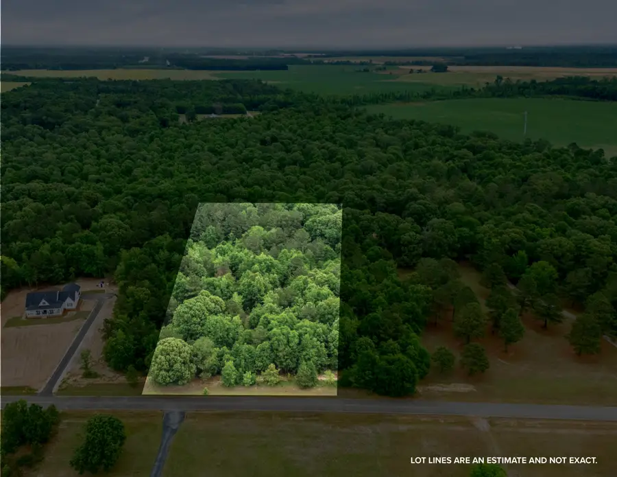 0 Sylvan Grove Road, Stapleton, GA 30823 - #2