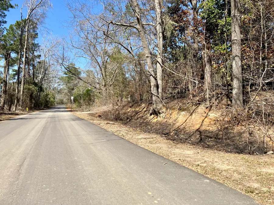 321 Railroad Avenue, Grovetown, GA 30813 - #3