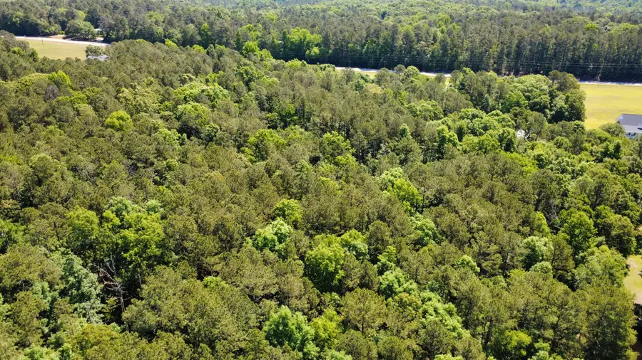 11.37 Ac Hwy 220 E, Lincolnton, GA 30817 - #3