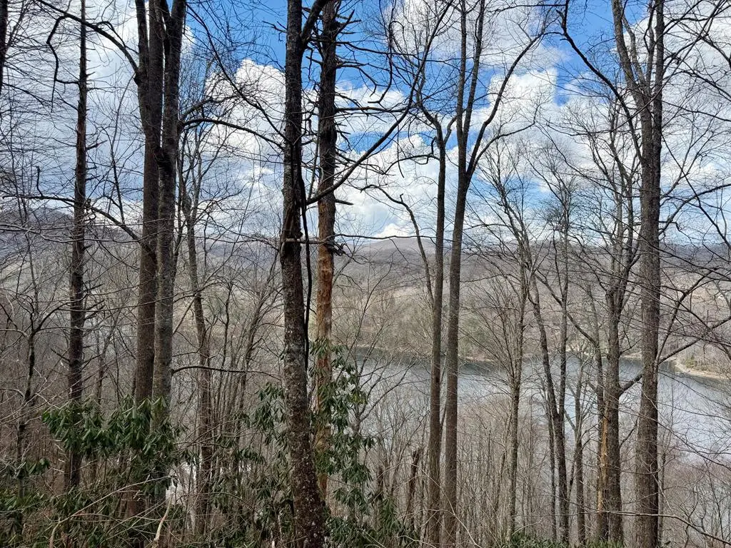 Lot# 38 Nantahala Shores Road, Nantahala, NC 28781 - #1