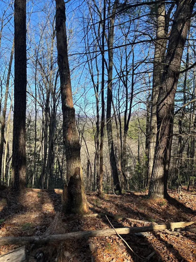 Lot 60 Thundering Hill, Murphy, NC 28906 - #2