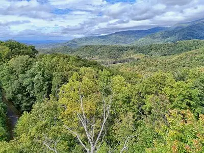 Lot 28 Skyview Drive, Hayesville, NC 28904 - #3