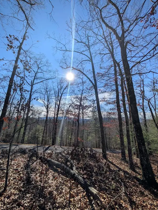 LOT 31 Tower Falls Lane, Hayesville, NC 28904