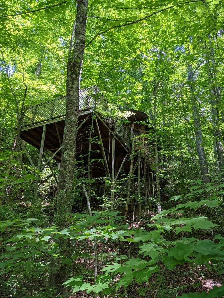 3.38 Long Creek, Robbinsville, NC 28771 - #1